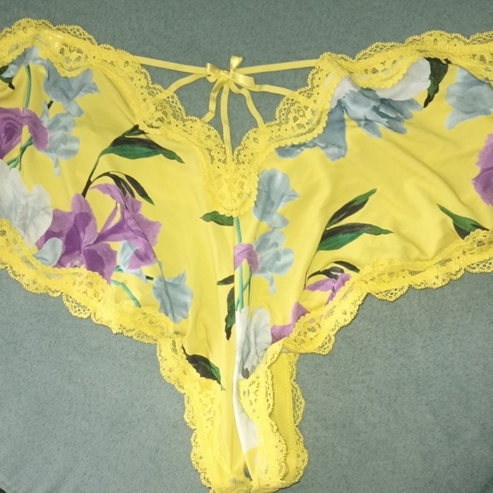Panties Cacique 26/28 4X Cheeky Set of 3 Lace Sheer Mesh Sexy Panty Lane Bryant - Picture 5 of 5
